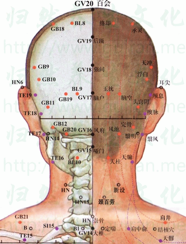 大椎-体表图 大椎-体表图