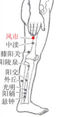 风市-体表示意图
