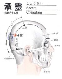 承灵-解剖图