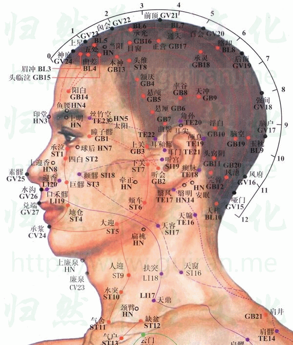 角孙-体表图