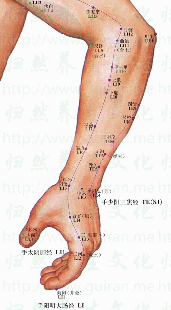 外关-体表图 外关-体表图