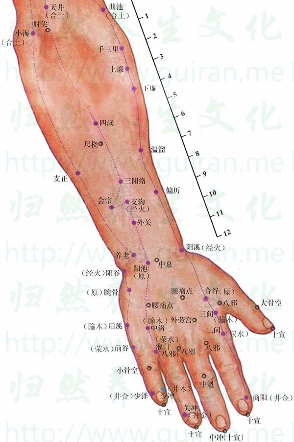 液门-体表图