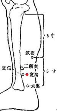 复溜-体表示意图