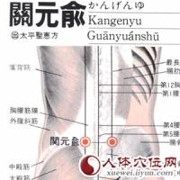 关元俞-解剖图