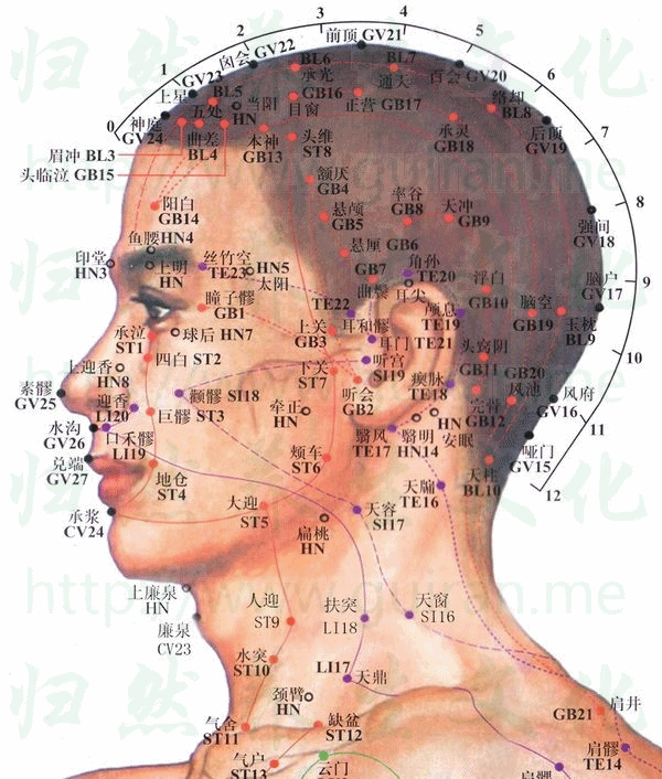 通天-体表图