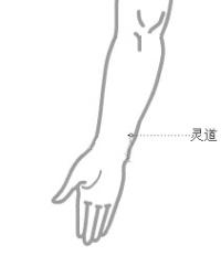 灵道-体表示意图