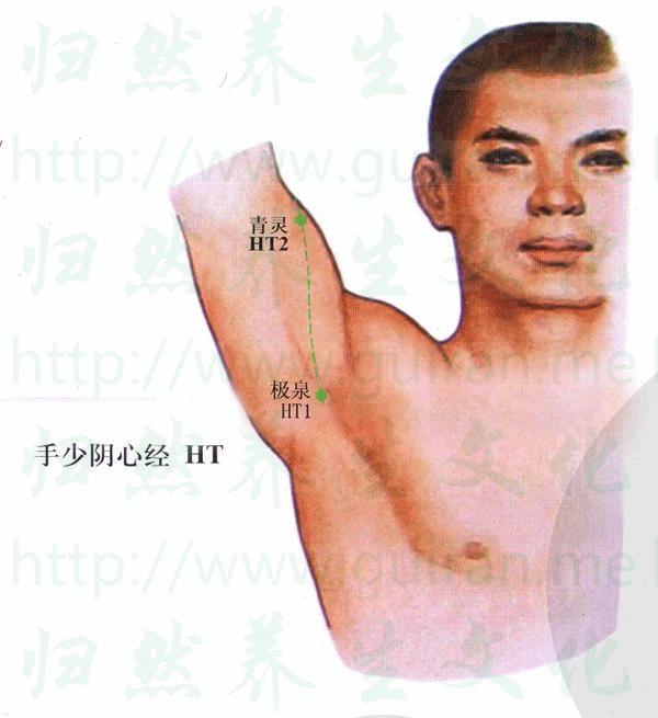 极泉-体表图