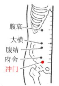 腹哀-体表示意图