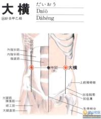 大横-解剖图