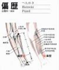 偏历-解剖图