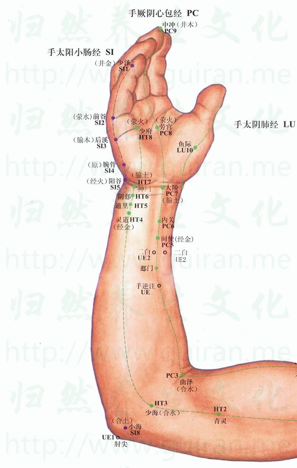 鱼际-体表图