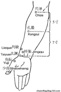 孔最-体表示意图