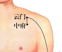 中府-体表示意图
