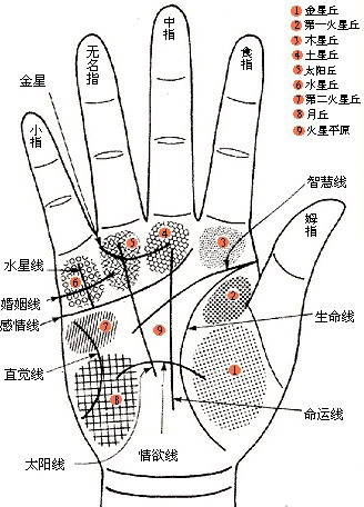 手相算命图解,掌纹看相图解