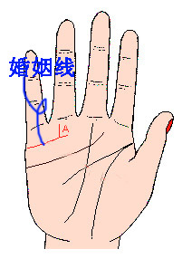 教你看手相,超准的手相图解