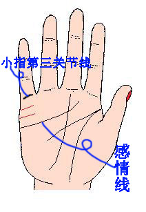 教你看手相,超准的手相图解