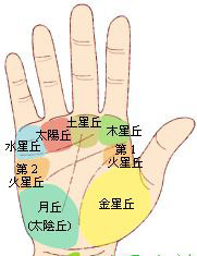 教你看手相,超准的手相图解