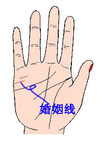 教你看手相,超准的手相图解