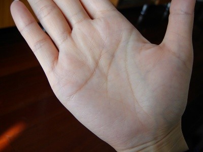 生命线分叉是什么意思?