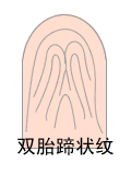 指纹类型大全
