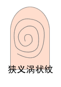 指纹类型大全