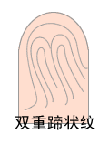 指纹类型大全