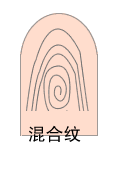 指纹类型大全