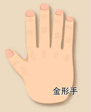 手相算命图解大全之手形
