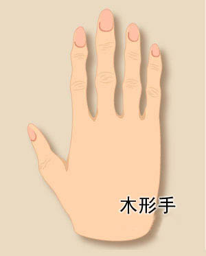 手相算命图解大全之手形