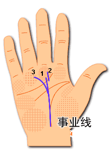 事业线图解