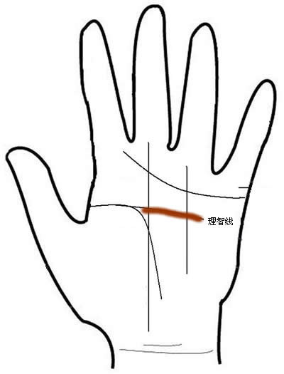 男人手相图解 男人手相算命图解