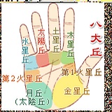 女人手相图解 女人手相算命图解
