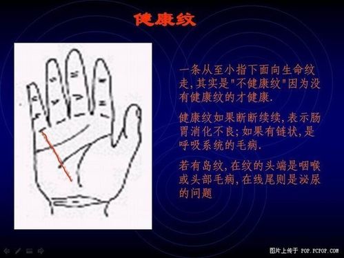 手相算命图解