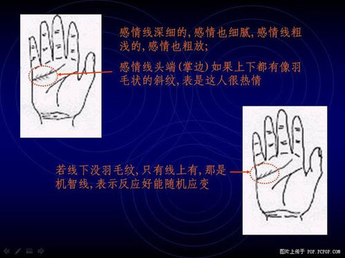 手相算命图解