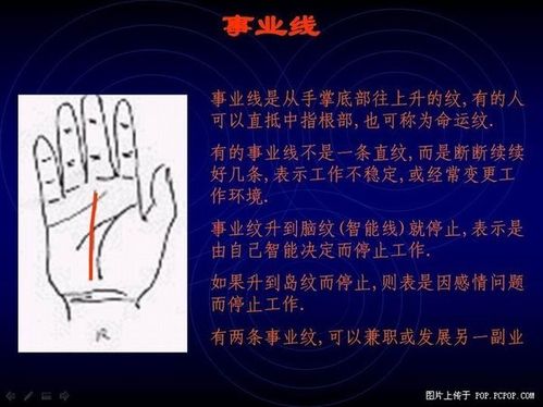 手相算命图解