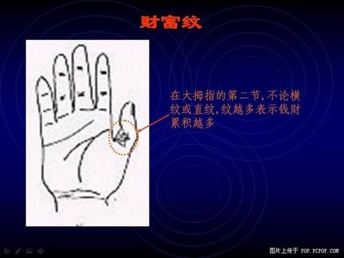 手相算命图解