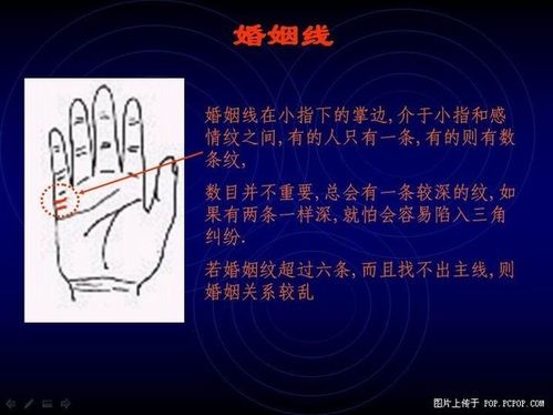 手相算命图解