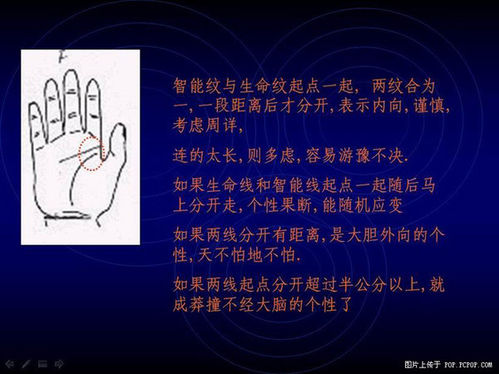手相算命图解