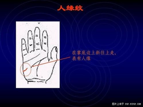 手相算命图解