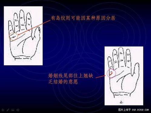 手相算命图解