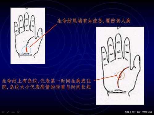 手相算命图解