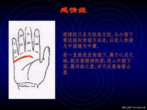 手相算命图解