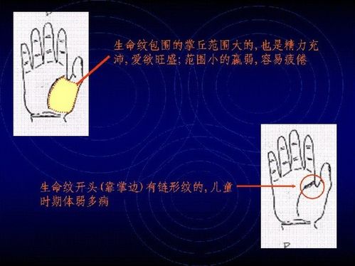 手相算命图解