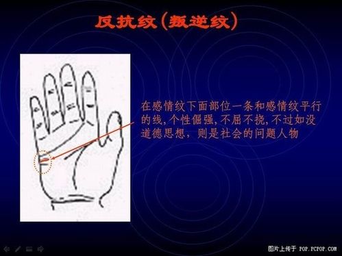 手相算命图解