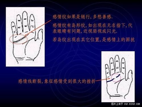 手相算命图解