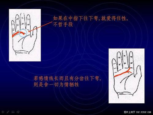 手相算命图解