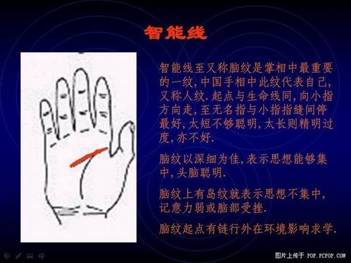 手相算命图解