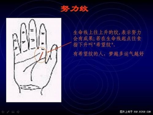 手相算命图解