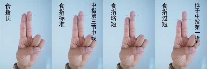 食指长度对比图