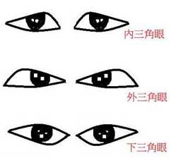 三角眼的种类